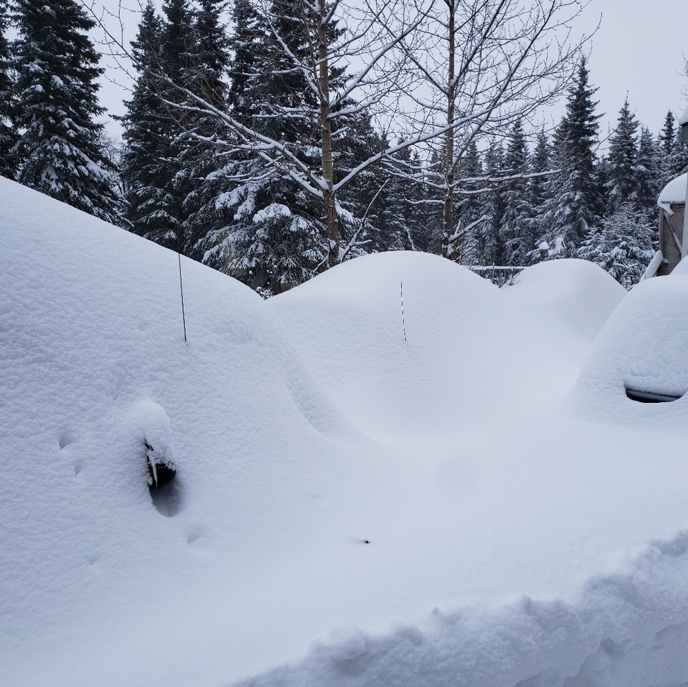 Meet your Posher, Terter - Picture 15 of 16